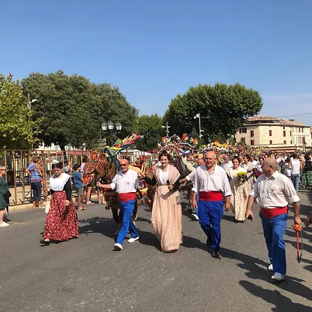 Les Lavandins-gite Magali * Saint-Remy-de-Provence
