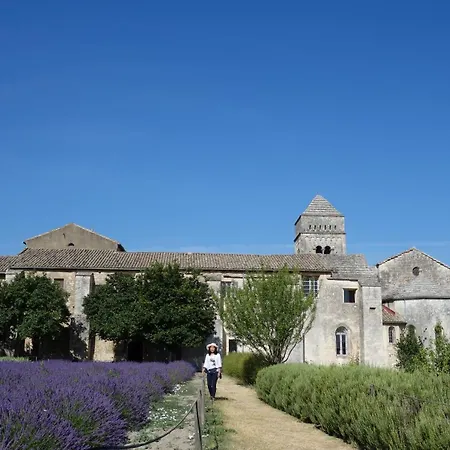 Les Lavandins-gite Magali * Saint-Remy-de-Provence