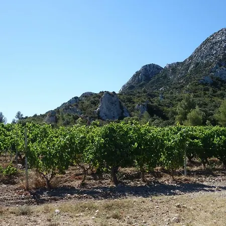 Les Lavandins-gite Magali Saint-Remy-de-Provence